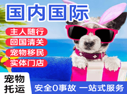 新桥航空货运国际宠物托运 【国